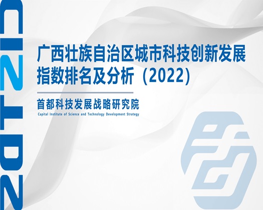 受不了了花核【成果发布】广西壮族自治区城市科技创新发展指数排名及分析（2022）